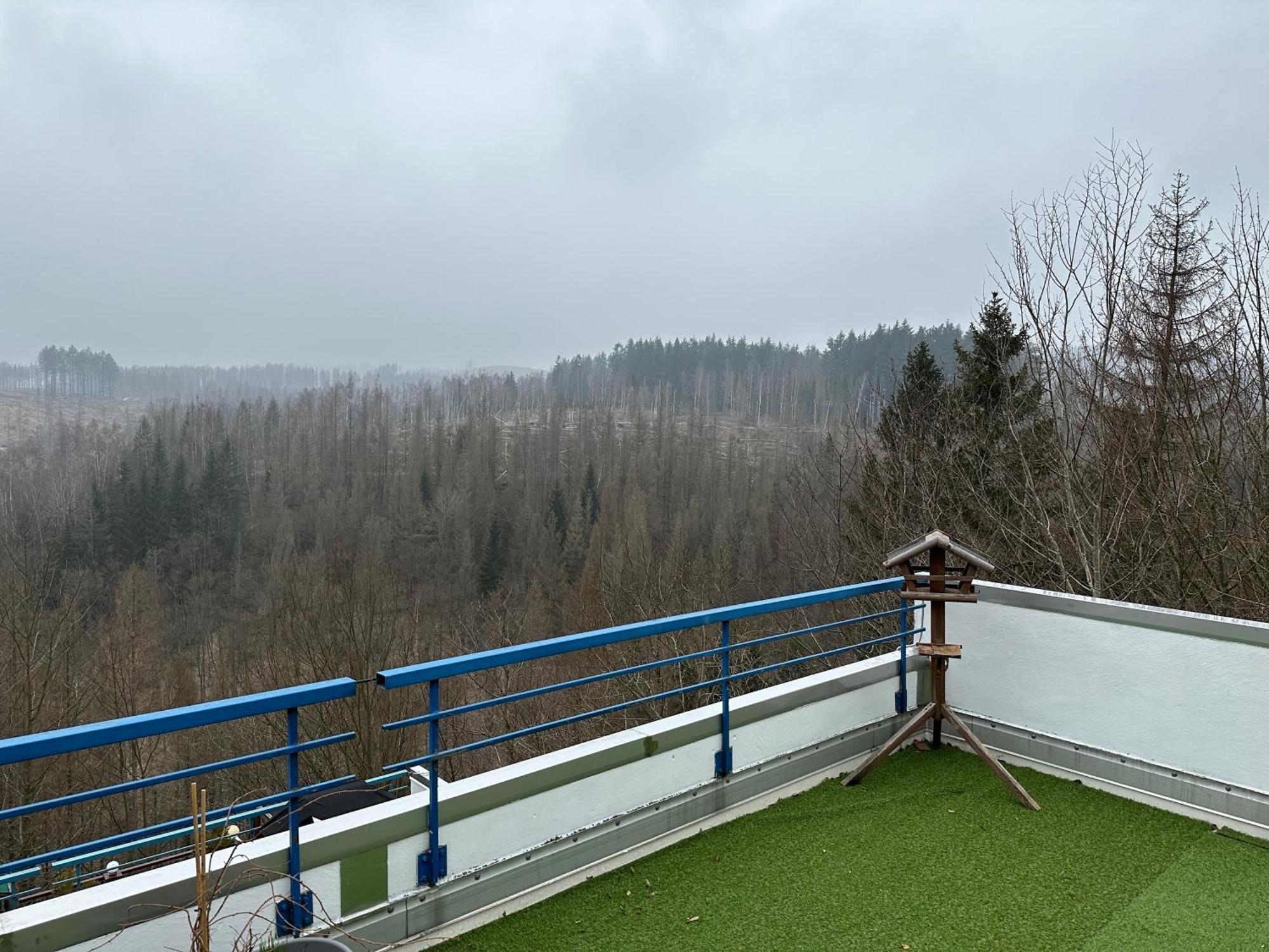 Ferienwohnung Harz #4, Pool, Sauna, Wlan Braunlage Zewnętrze zdjęcie