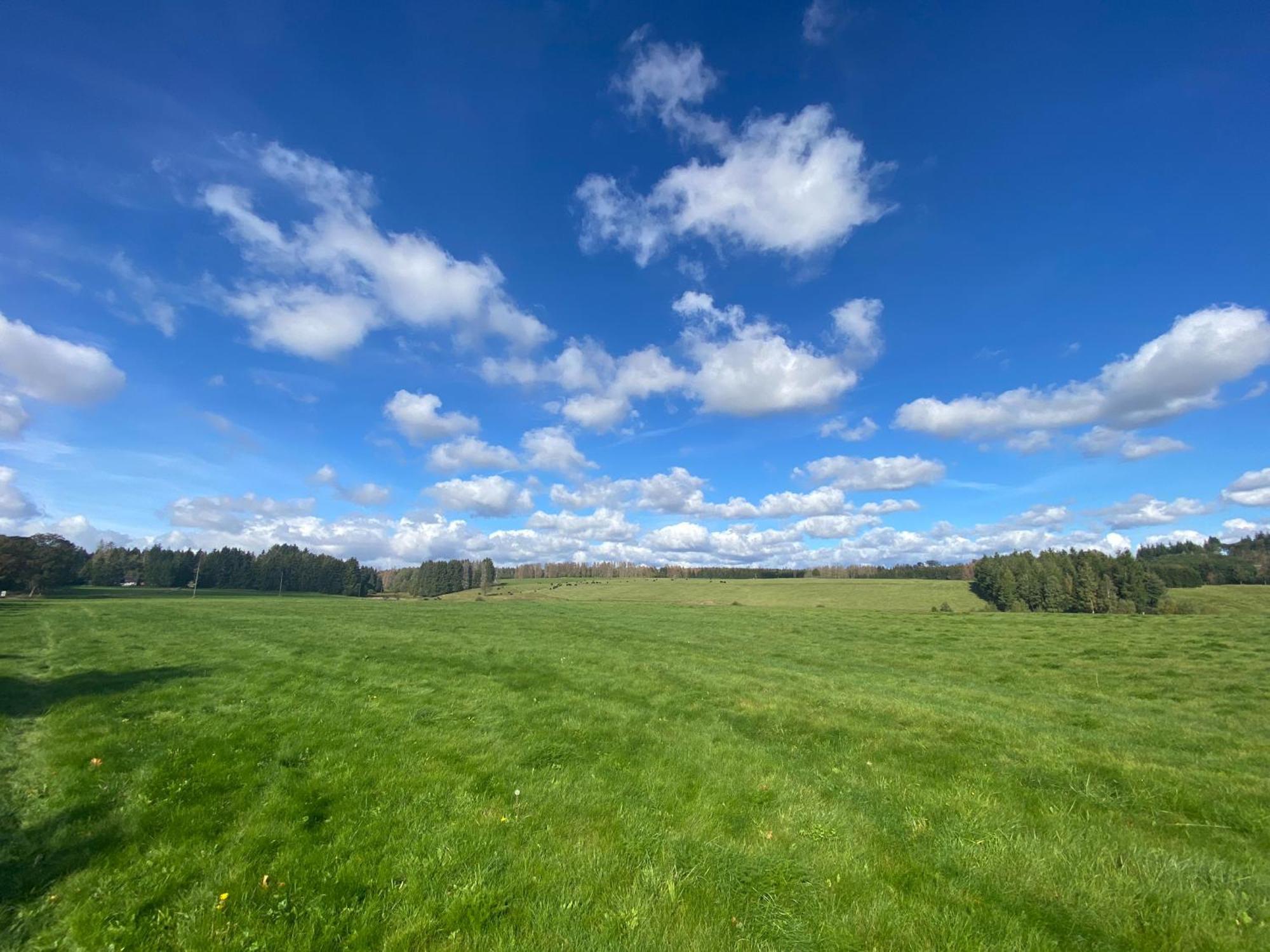 Ferienwohnung Harz #4, Pool, Sauna, Wlan Braunlage Zewnętrze zdjęcie
